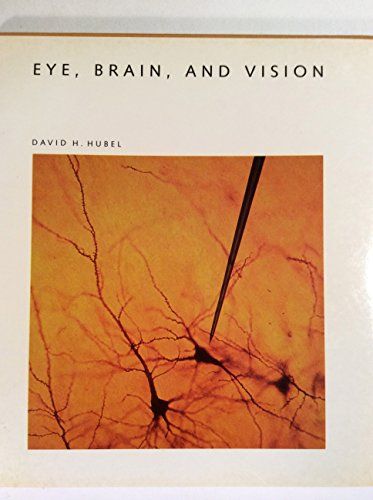 Eye, Brain, and Vision