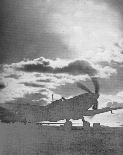 Sea Flight