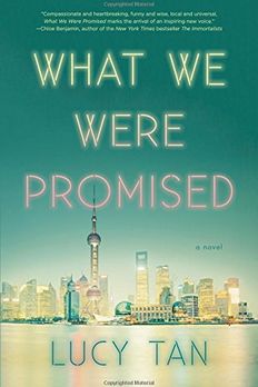 What We Were Promised book cover