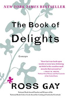 The Book of Delights book cover