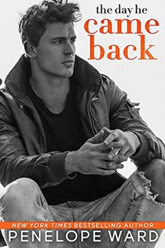 The Day He Came Back book cover