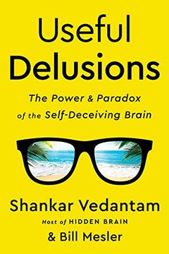 Useful Delusions book cover