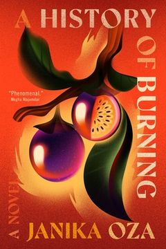 A History of Burning book cover