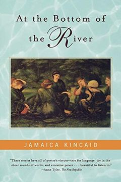 At the Bottom of the River book cover
