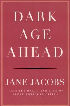 Dark Age Ahead book cover