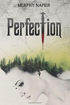 Perfection book cover