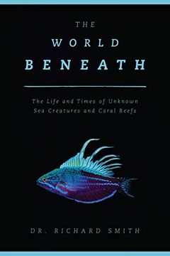 The World Beneath book cover