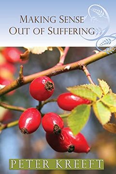 Making Sense Out of Suffering book cover