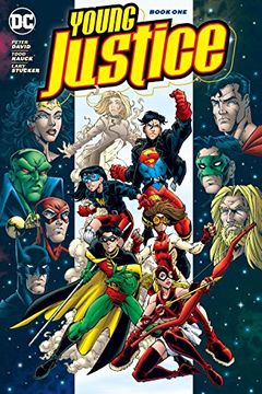 Young Justice, Book One book cover