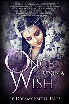Once Upon A Wish book cover
