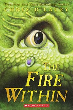 The Fire Within book cover
