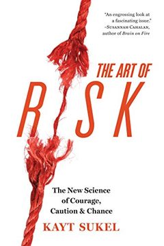 The Art of Risk book cover
