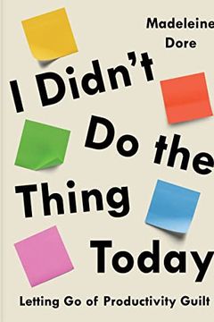 I Didn't Do the Thing Today book cover