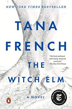 The Witch Elm book cover