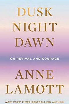 Dusk, Night, Dawn book cover