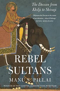 Rebels sultans book cover