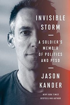 Invisible Storm book cover
