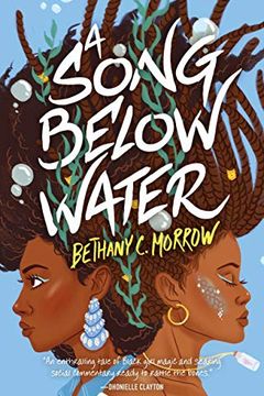 A Song Below Water book cover