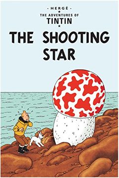The Shooting Star book cover