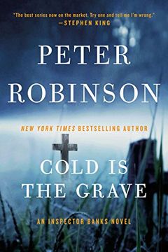 Cold Is The Grave book cover