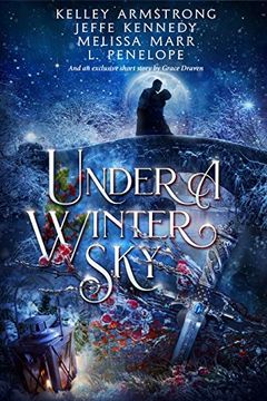 Under a Winter Sky book cover