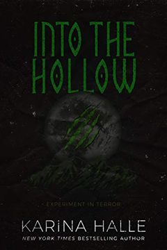 Into the Hollow book cover