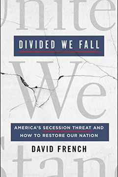 Divided We Fall book cover