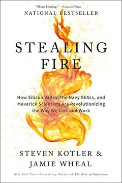 Stealing Fire book cover