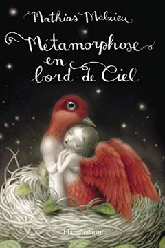 Métamorphose en bord de ciel book cover