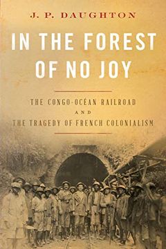 In the Forest of No Joy book cover