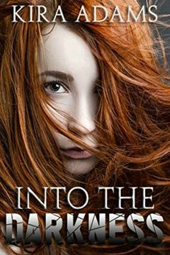 Into the Darkness book cover