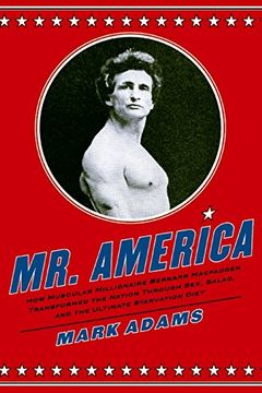 Mr. America book cover