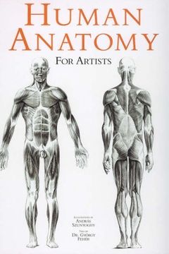 Top 10 Human Anatomy Books For Artists