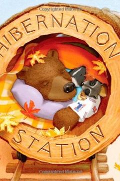 Hibernation Station book cover