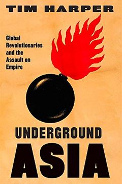 Underground Asia book cover