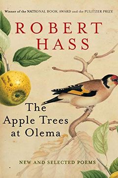 The Apple Trees at Olema book cover