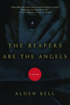The Reapers Are the Angels book cover