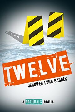Twelve book cover