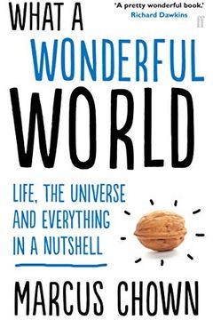 What a Wonderful World book cover
