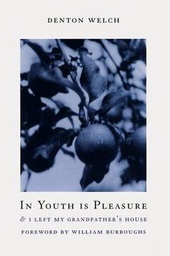 In Youth Is Pleasure book cover