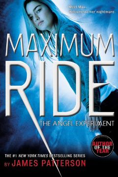 The Angel Experiment book cover