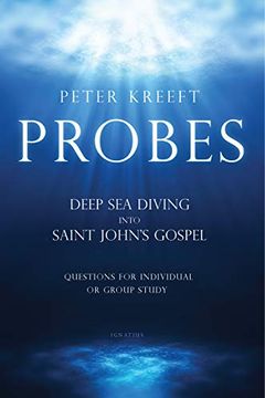 Probes book cover