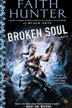 Broken Soul book cover