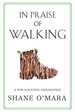 In Praise of Walking book cover