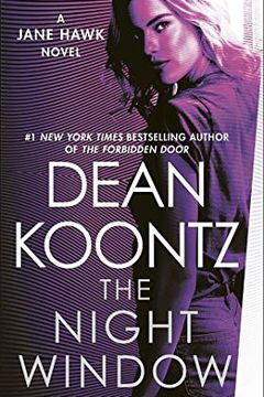 The Night Window book cover