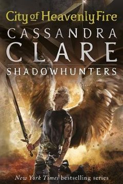 The Mortal Instruments 6 book cover