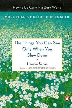 The Things You Can See Only When You Slow Down book cover