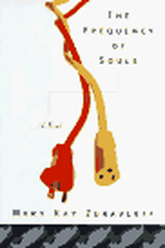 The Frequency of Souls book cover