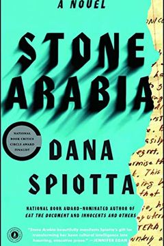 Stone Arabia book cover