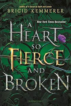 A Heart So Fierce and Broken book cover